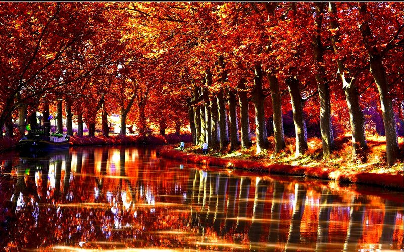 Canal with Autumn Trees — Red