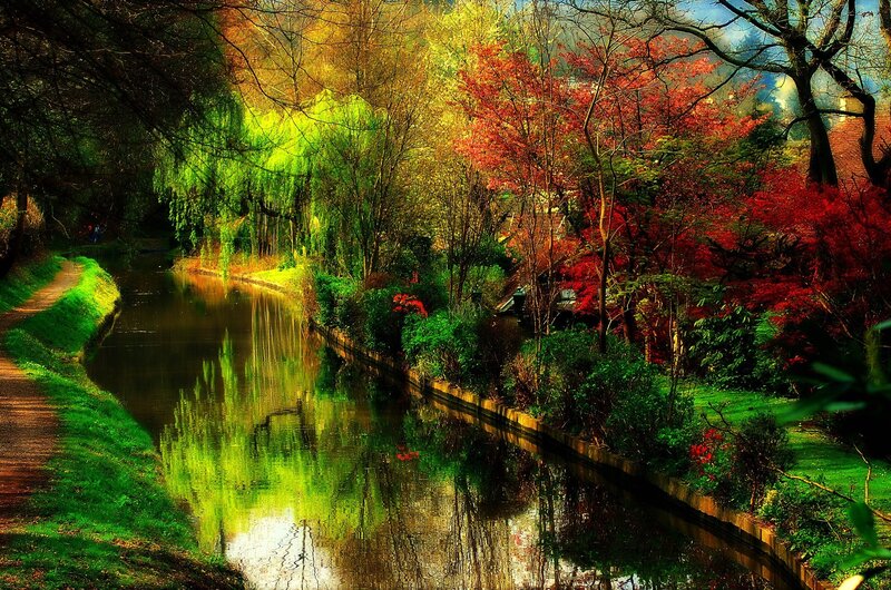 Canal with Autumn Trees