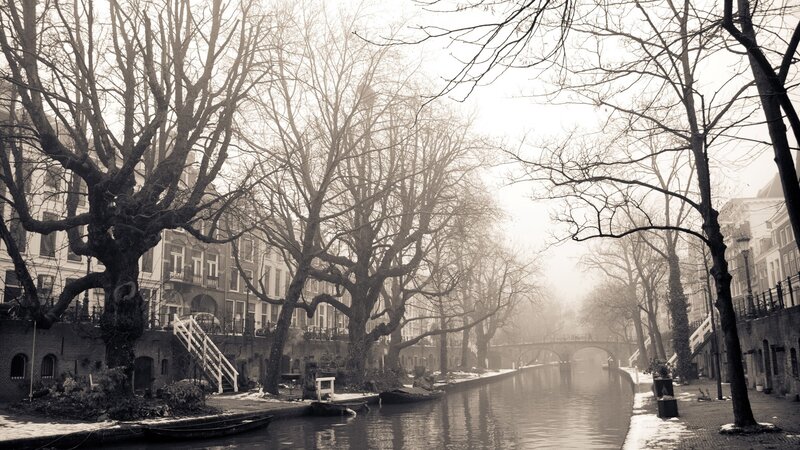 Canal with Bare Trees — Black, Misty