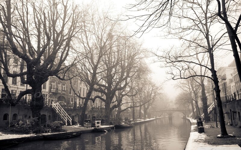 Canal with Bare Trees — Black, Serene