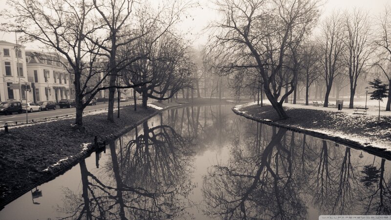 Canal with Bare Trees — Black