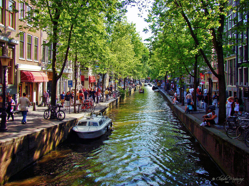 Canal with Boats and Trees — Green