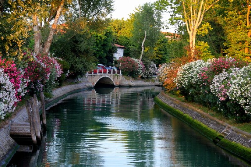Canal with Flowering Bushes