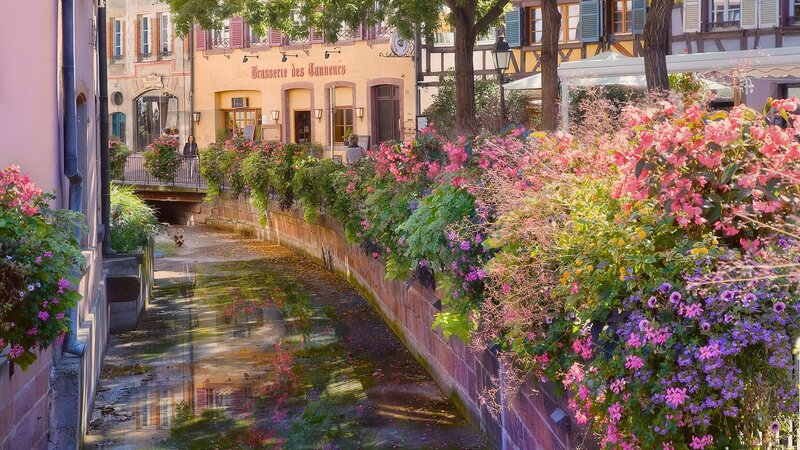Canal with Flowers and Buildings