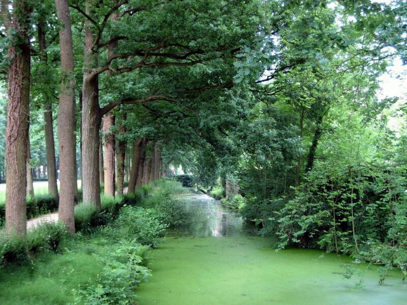 Canal with Green Algae