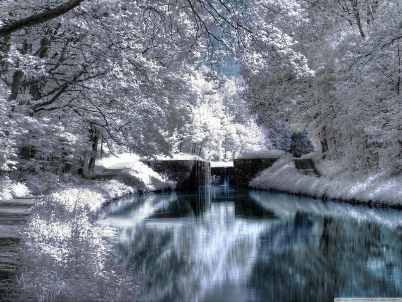 Canal with Lock and Trees