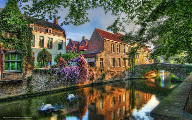 Canal with swans in Bruges