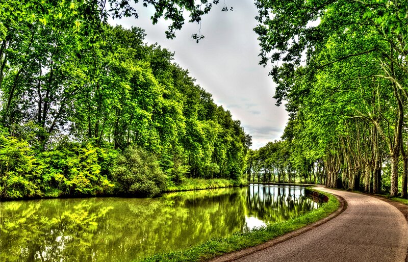 Canal with Tree-lined Path — Green, Serene, Afternoon