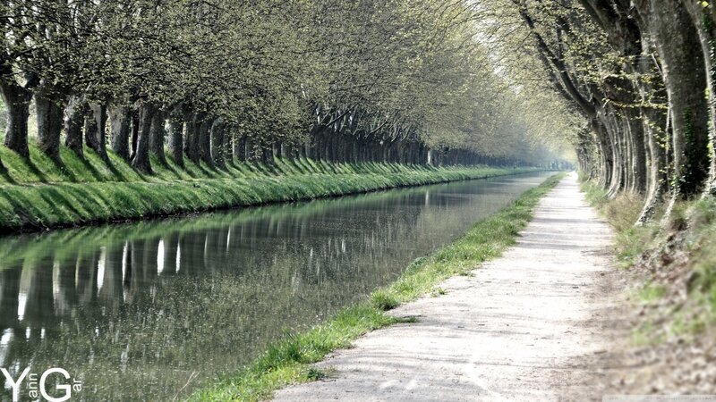 Canal with Tree-lined Path — Green, Serene, Spring