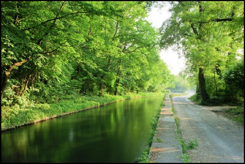 Canal with Tree-lined Path — Green