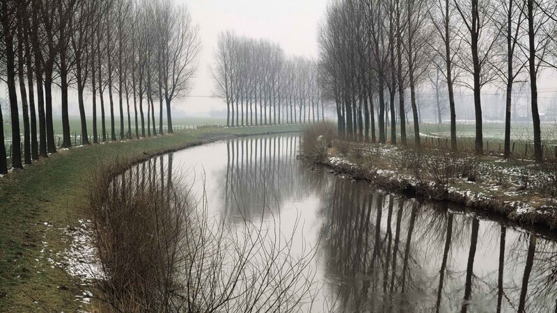 canal with tree reflections