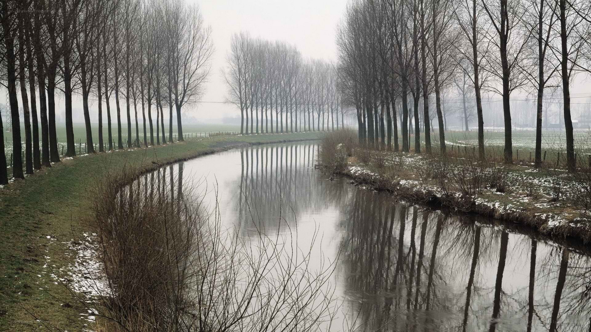 canal with tree reflections