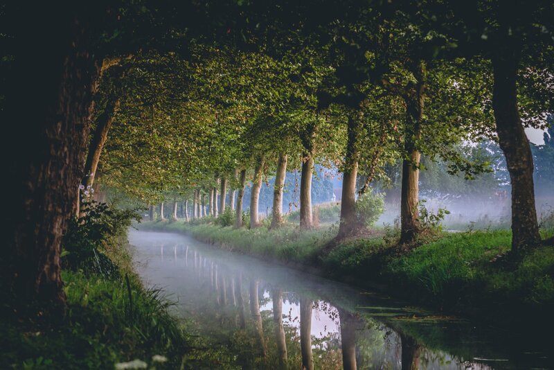 Canal with Tree Tunnel