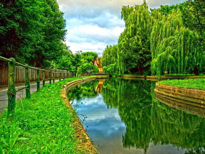 Canal with Weeping Willows