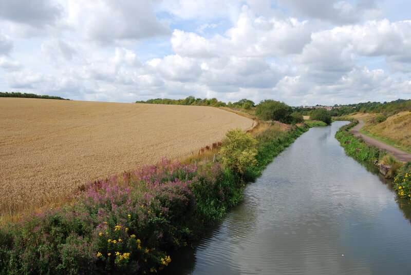 Canal with Wheat Field