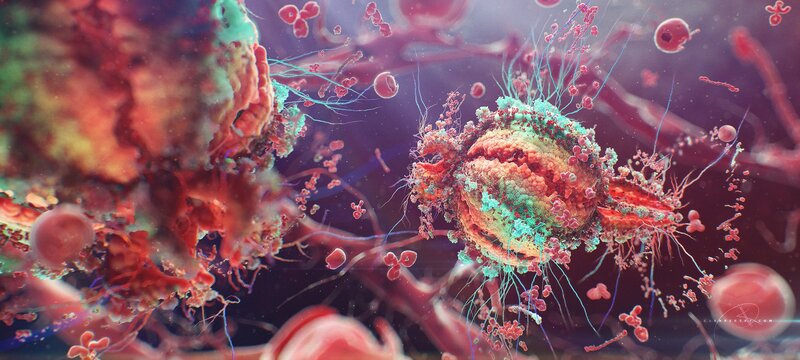 Cancer Cells in Bloodstream — Red