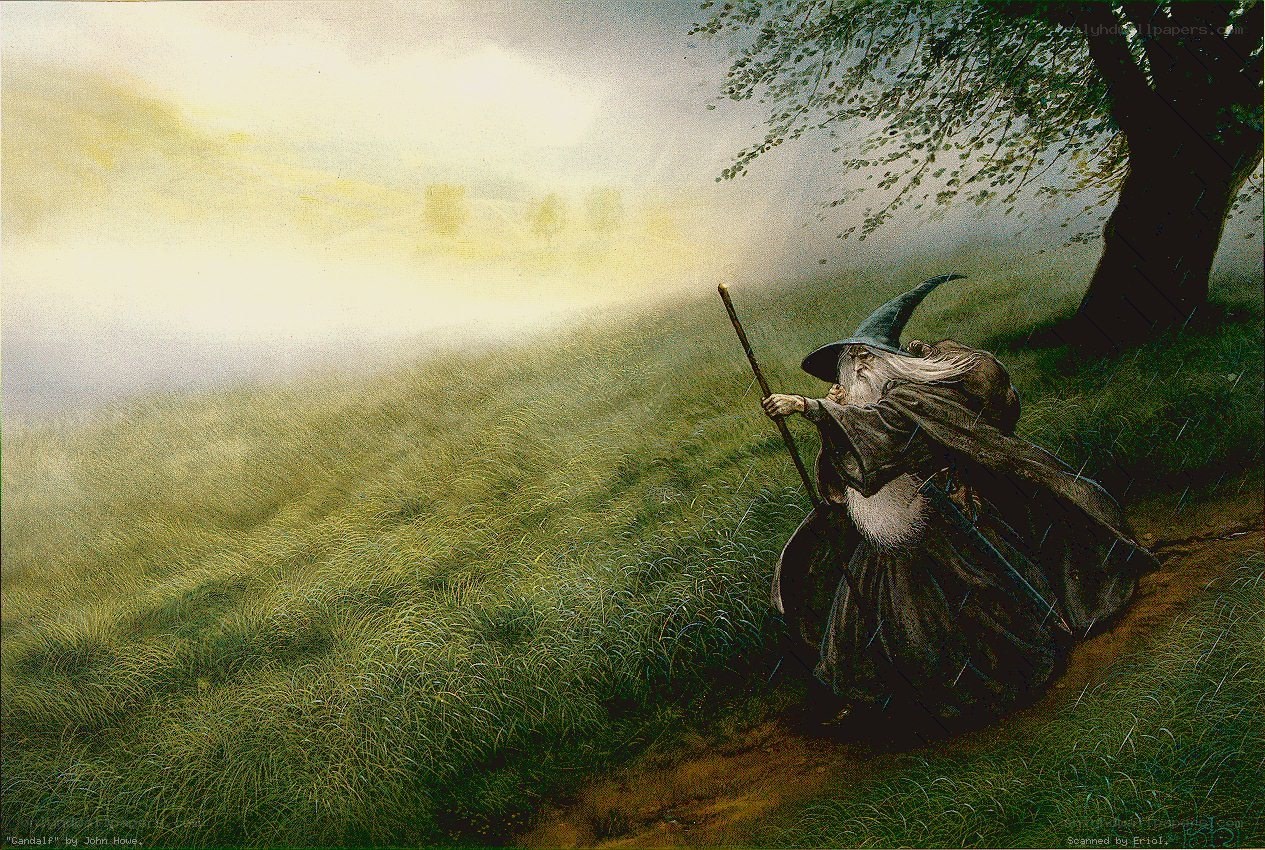 Candalf in a misty field