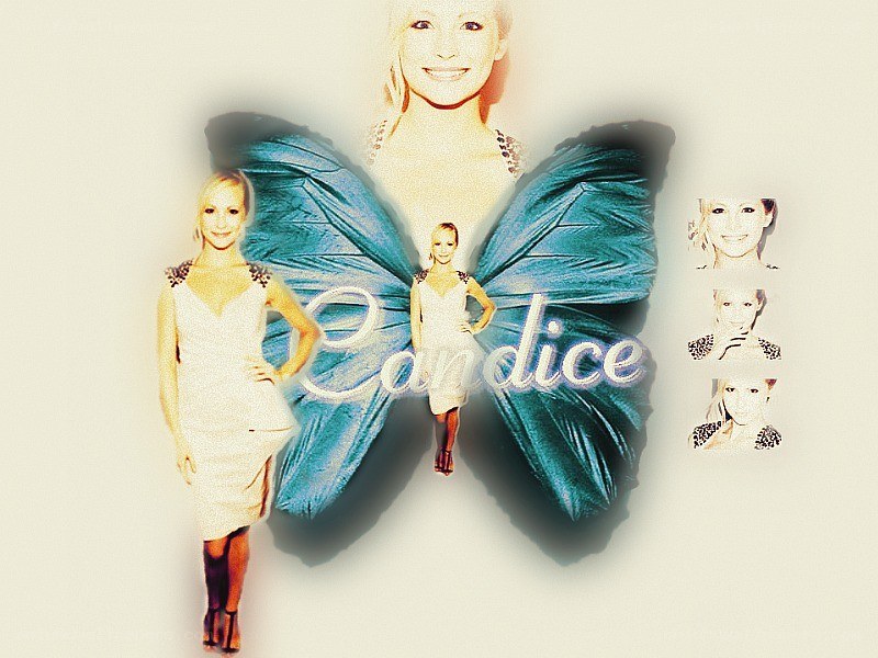 Candice butterfly collage