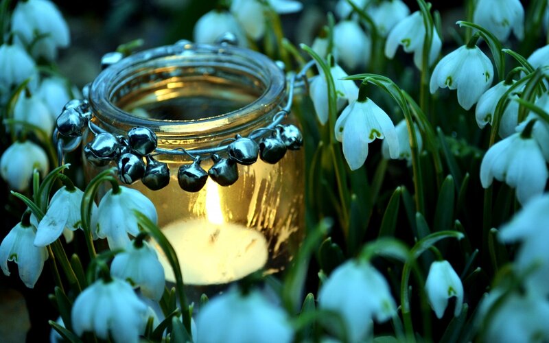 Candle among snowdrops