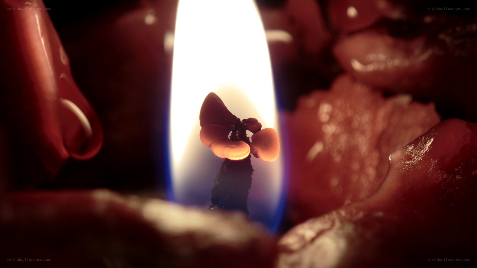 Candle flame with melted wax