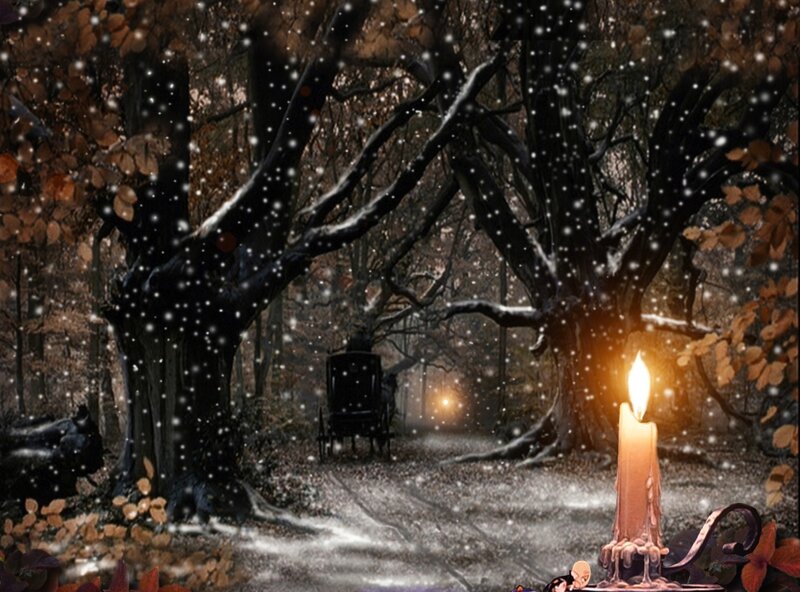 Candle in Forest — Brown