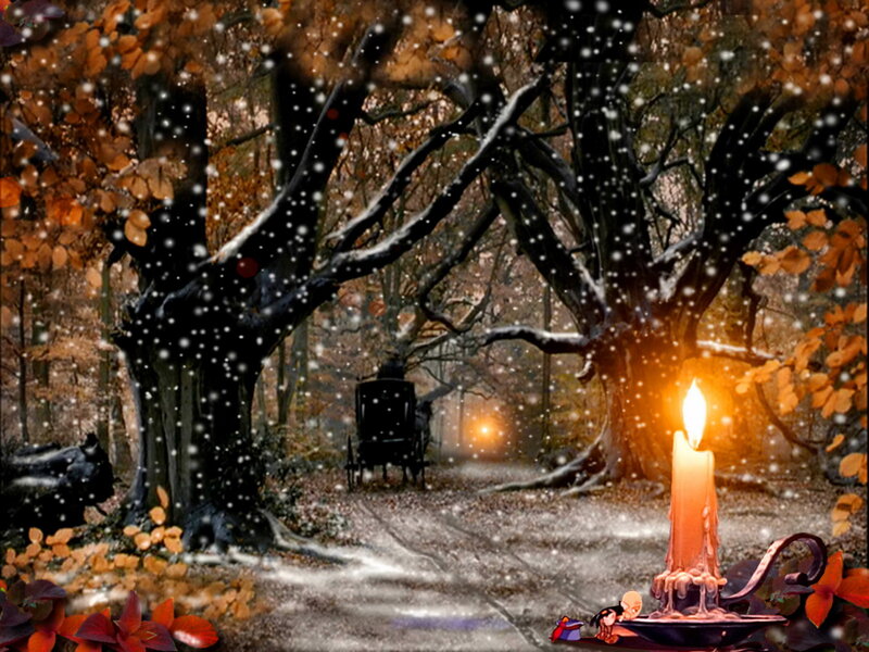 Candle in Forest — Orange