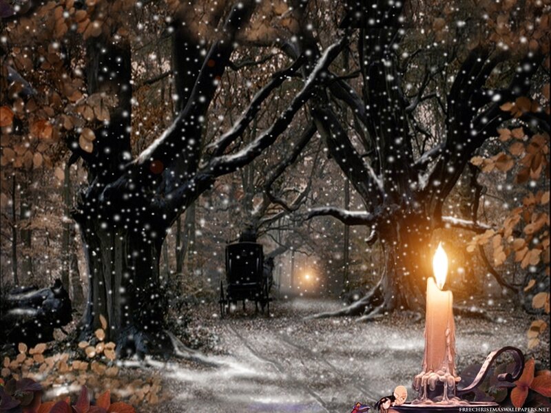 Candle in Forest