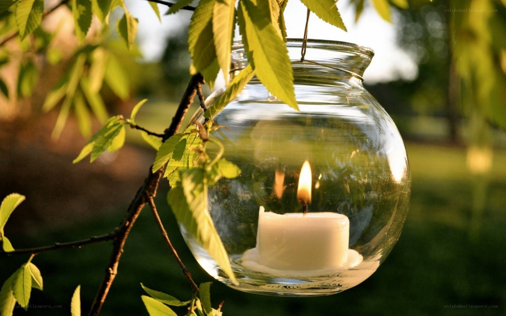 Candle in glass jar hanging from tree