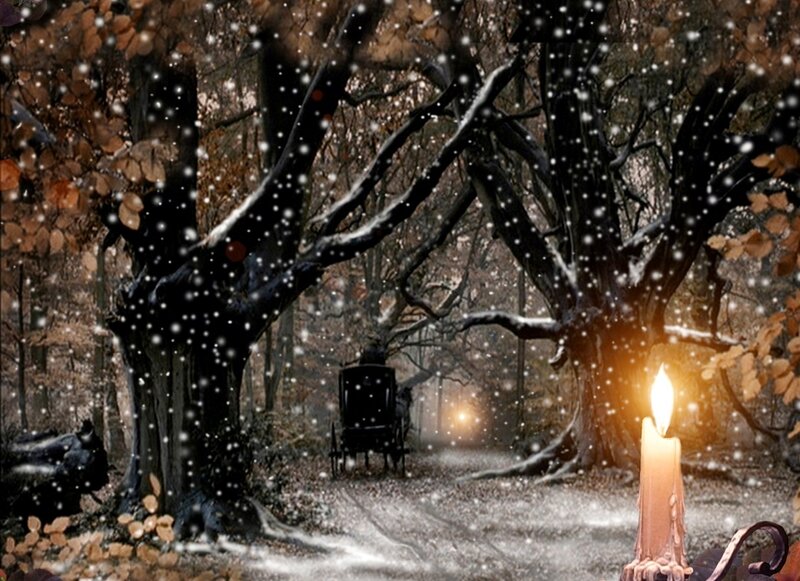 Candle in Snowy Forest — Brown