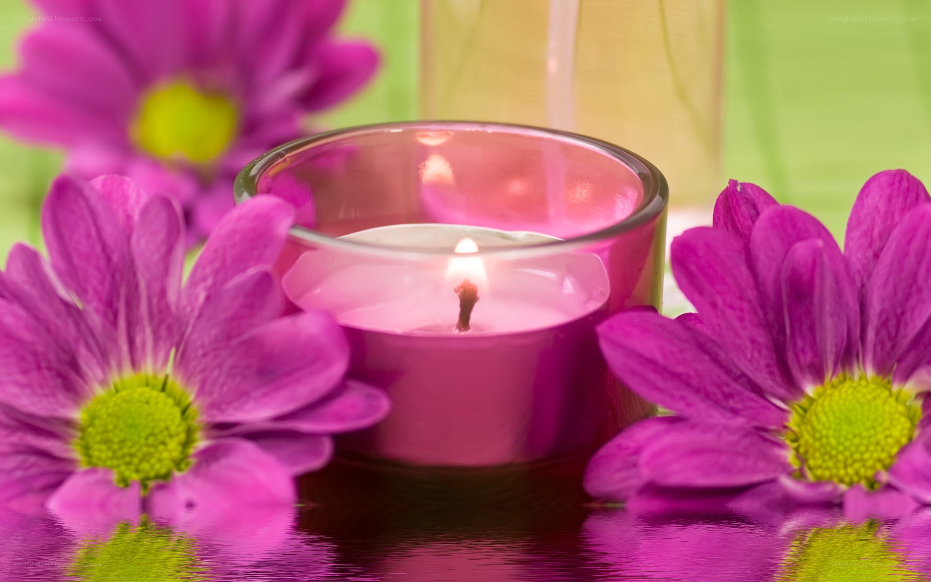 candle with purple flowers