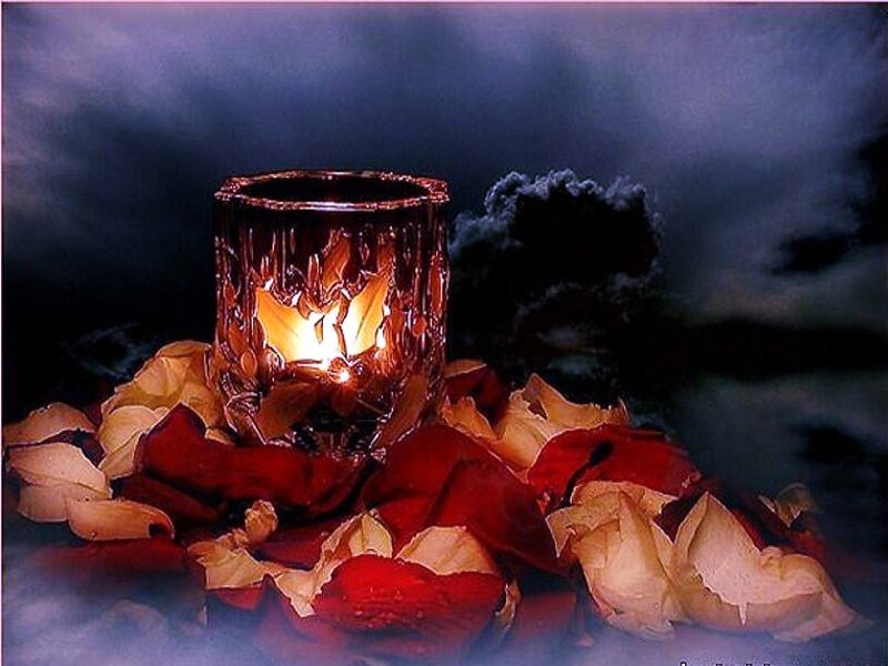 Candle with rose petals