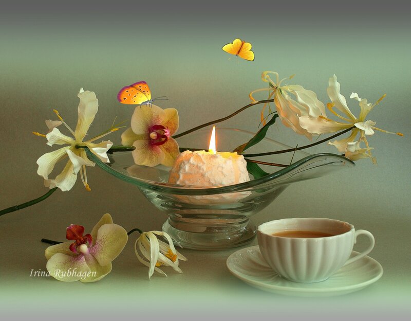 Candlelight with orchids and butterflies