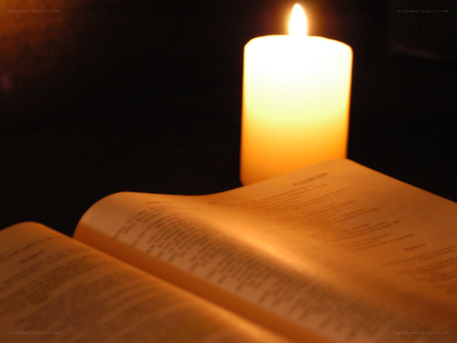 candlelit book reading