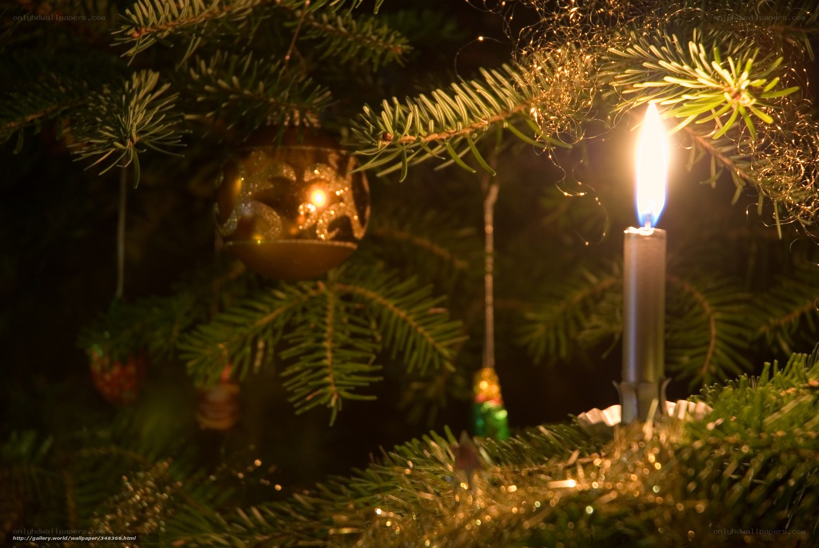 candlelit christmas tree
