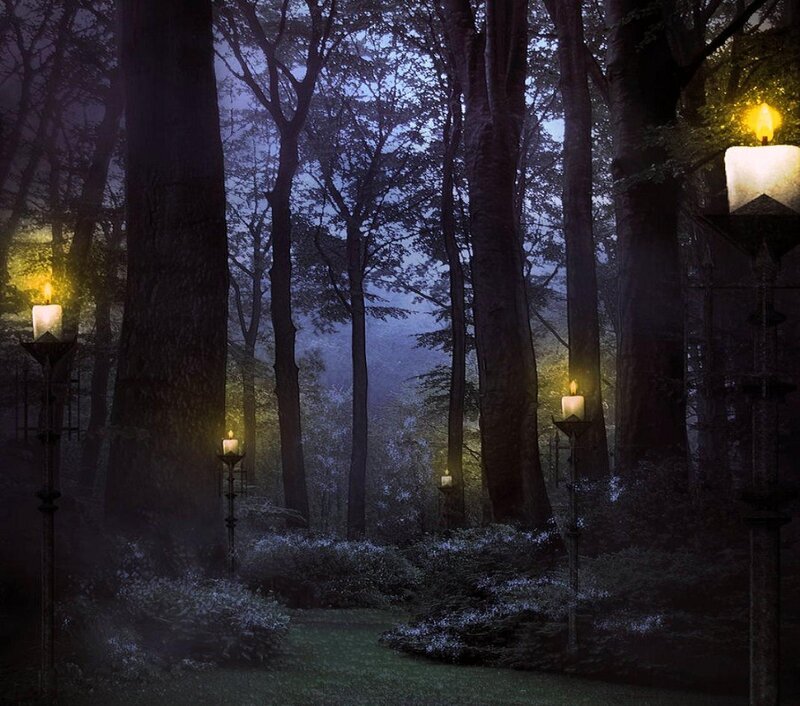 Candlelit Forest Path