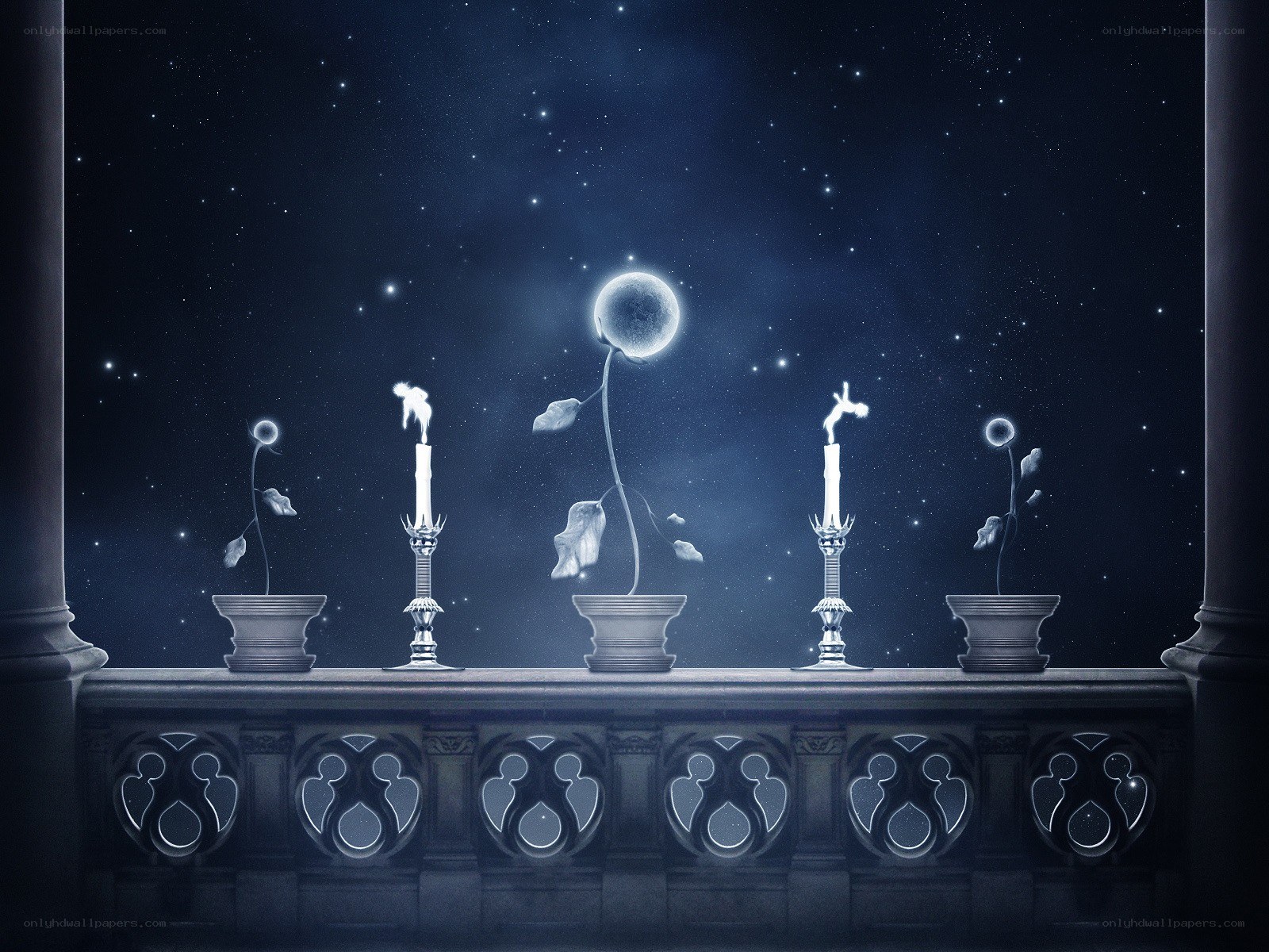 Candlelit night garden