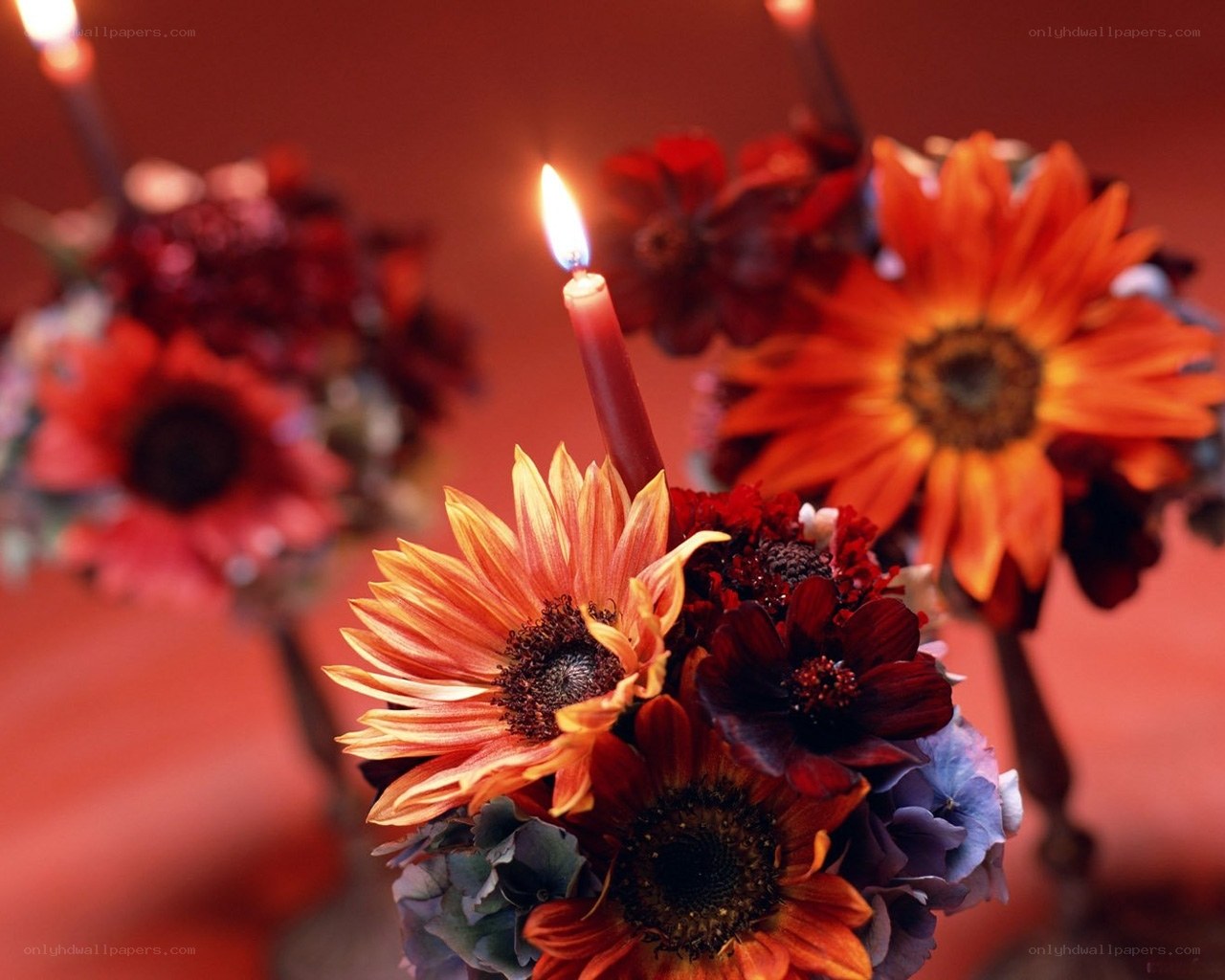 Candles and autumn flowers