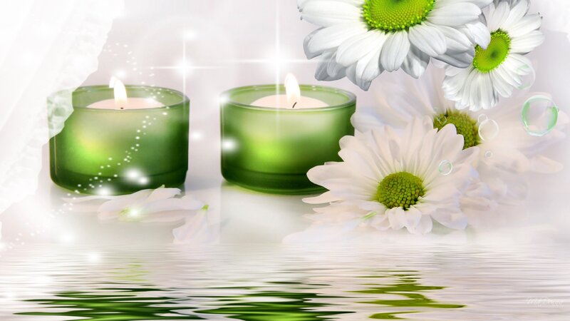 Candles and Daisies