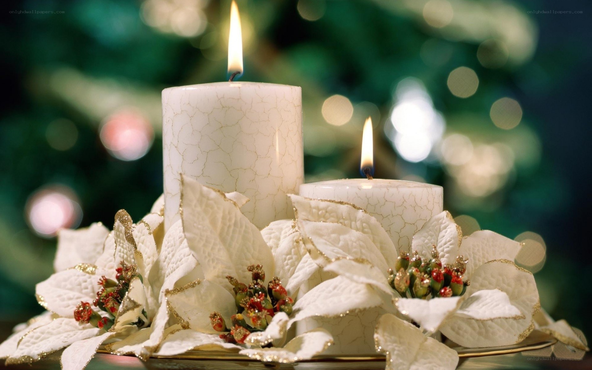 Candles and poinsettias on table