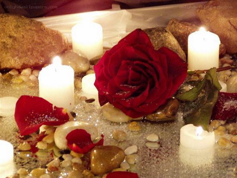 candles and rose petals
