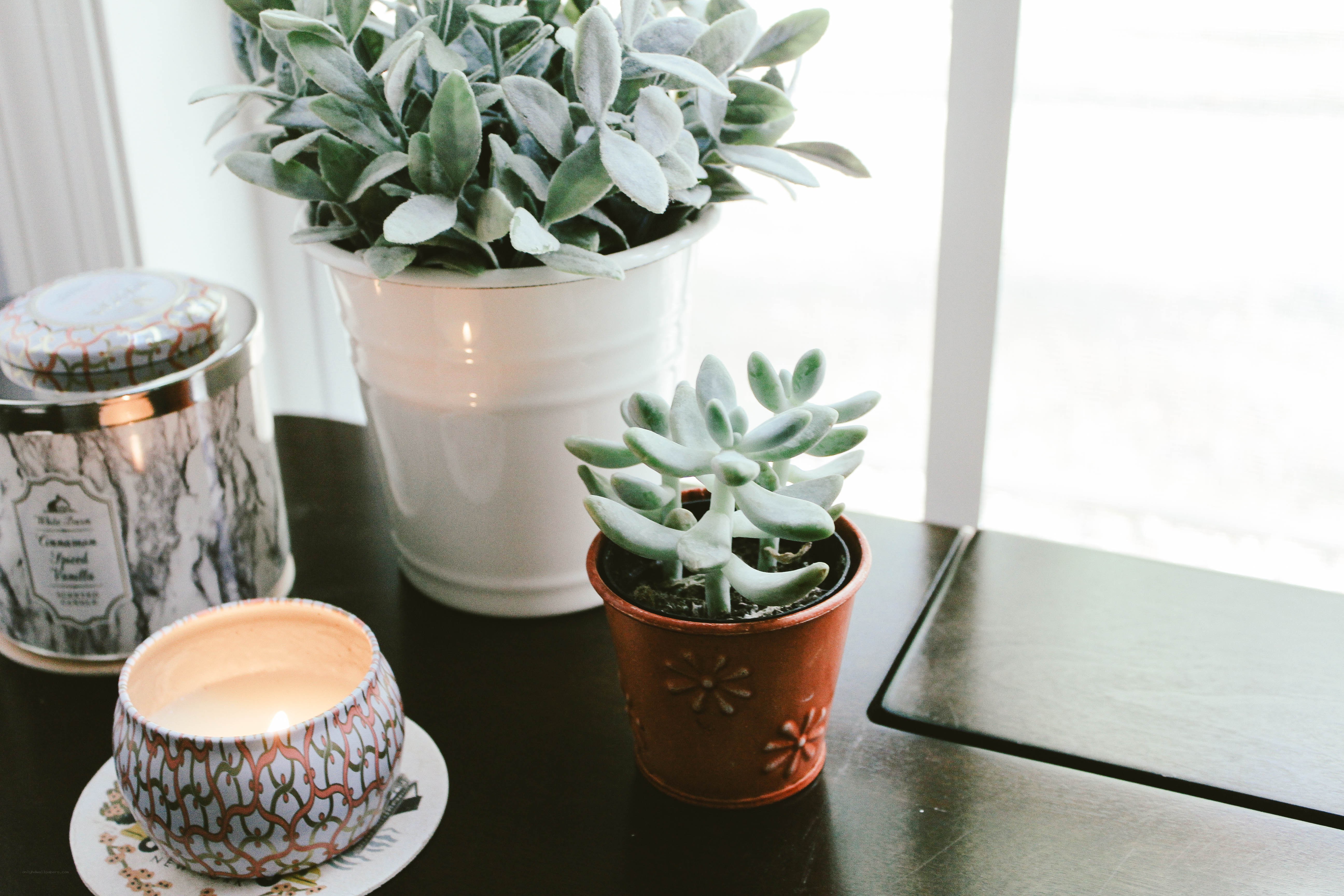 Candles and succulents on a table