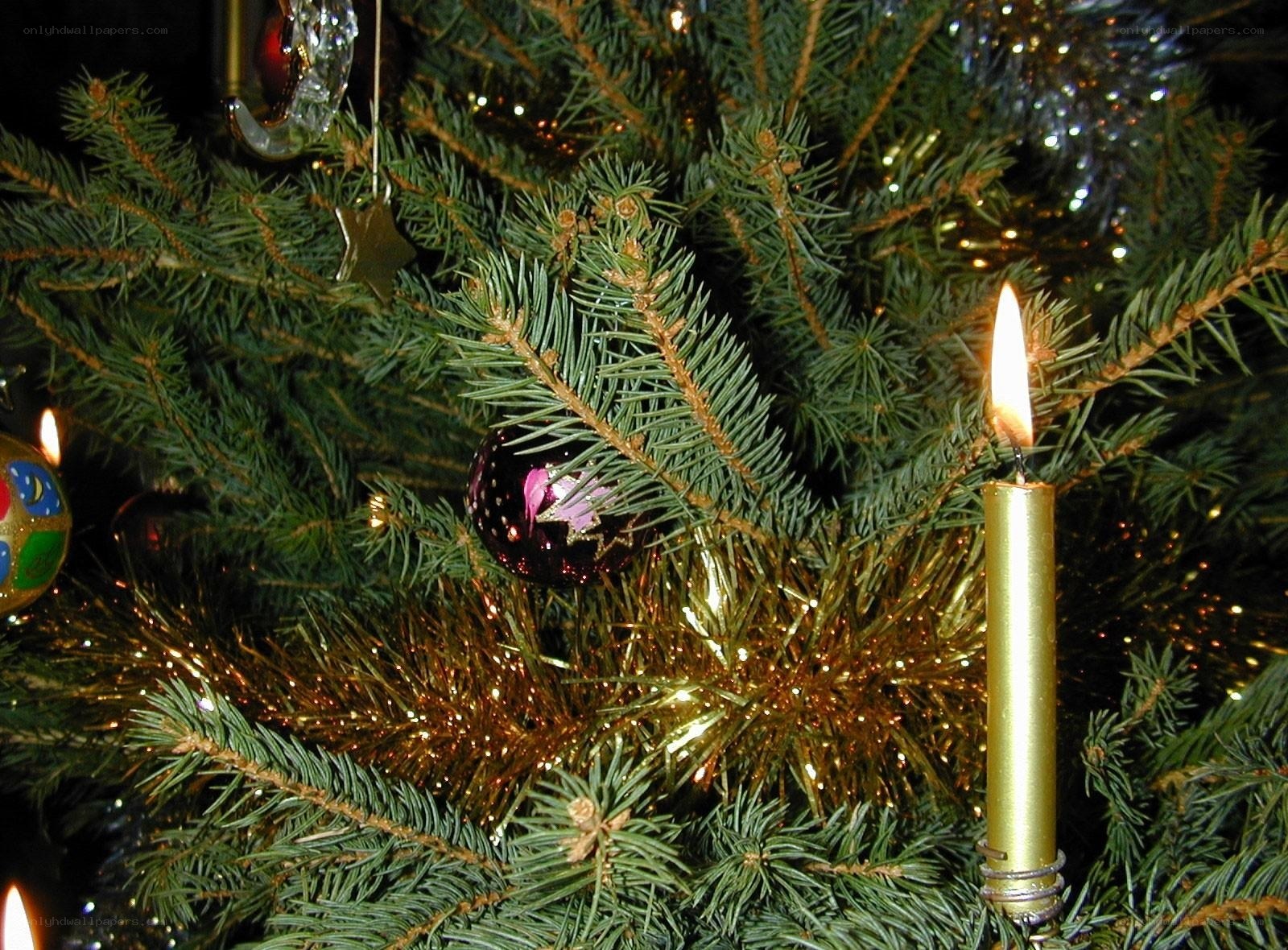 Candles on a decorated Christmas tree