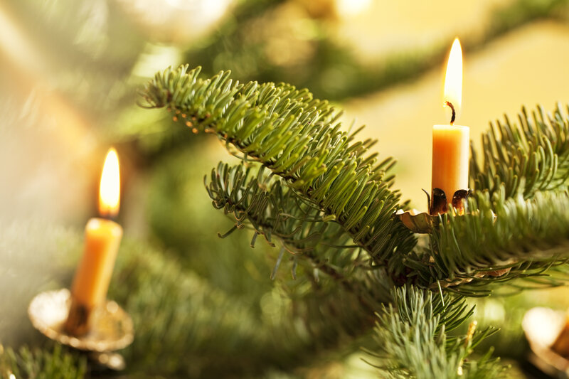 Candles on Pine Branch