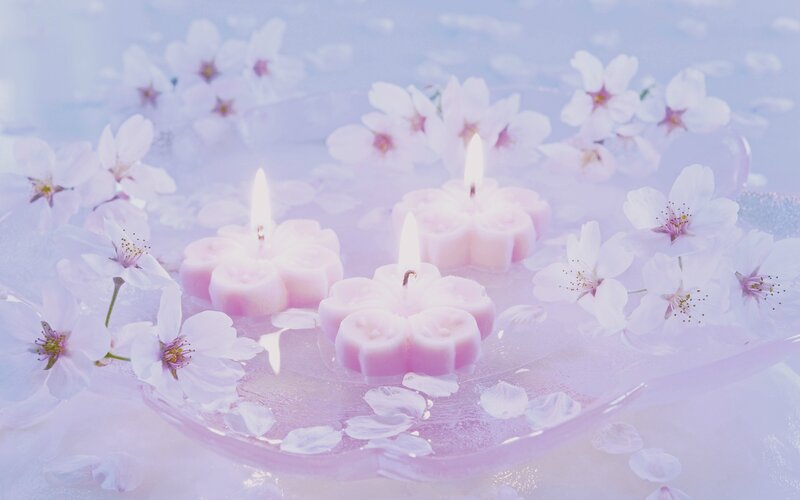 Candles with Cherry Blossoms — Pink