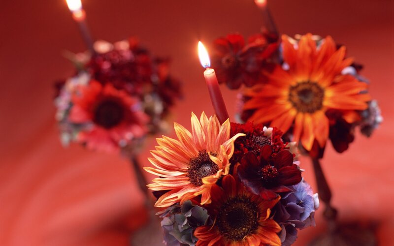 Candles with Sunflowers — Red