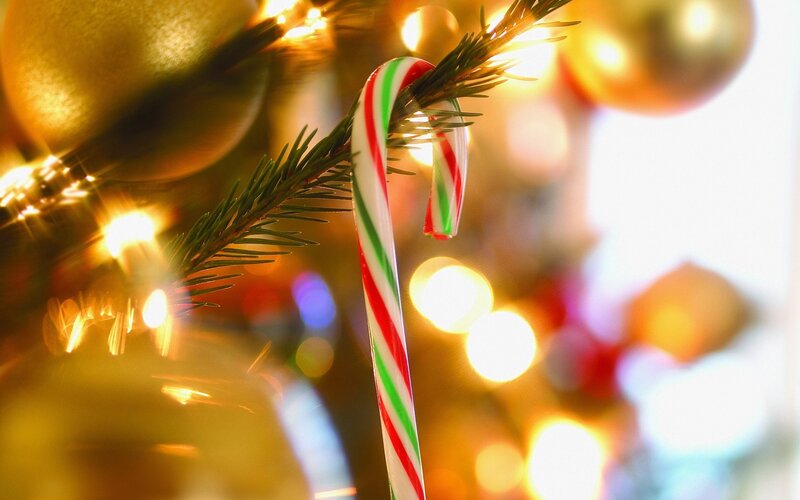 Candy Cane on Tree Branch