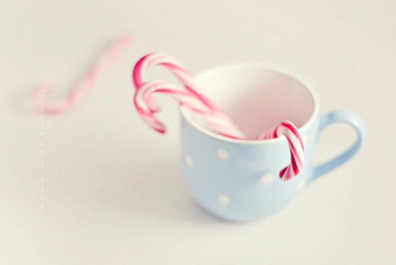 Candy Canes in Cup