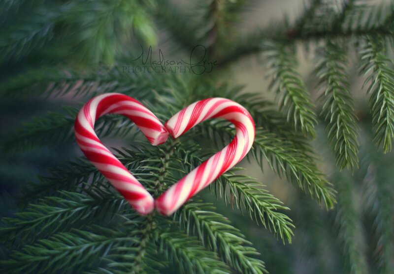 Candy Canes in Heart Shape — Green