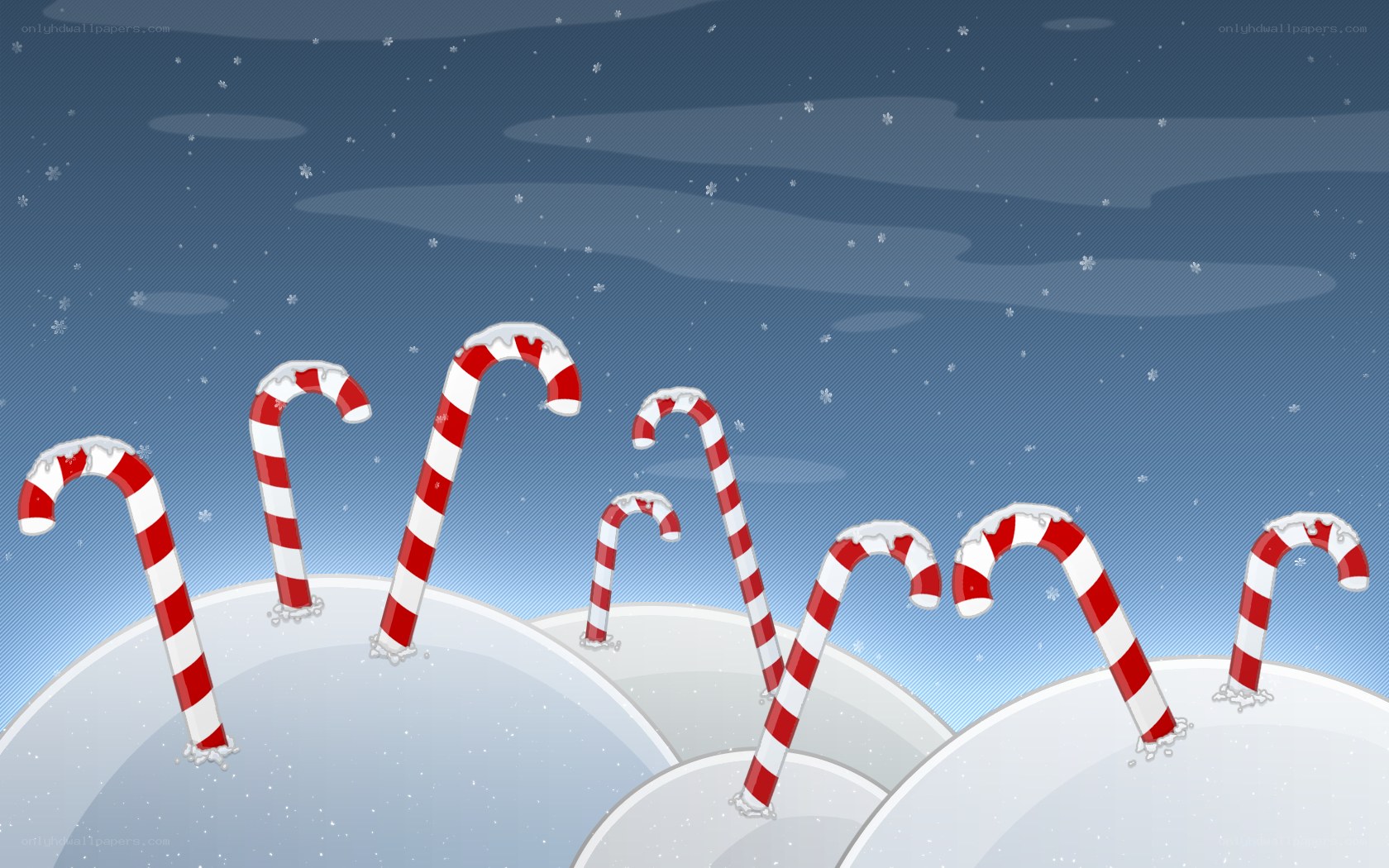 Candy canes in snow