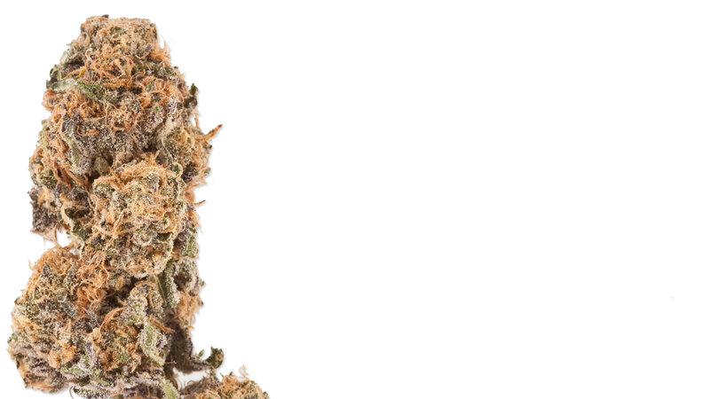 Cannabis Bud — Green, Neutral, Photograph, Trichomes